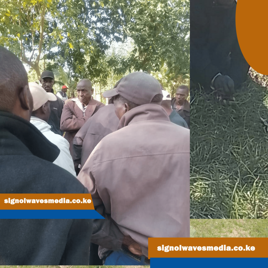 Francis Juma Catches Wife, 68, with 36-Year-Old Man in Trans Nzoia