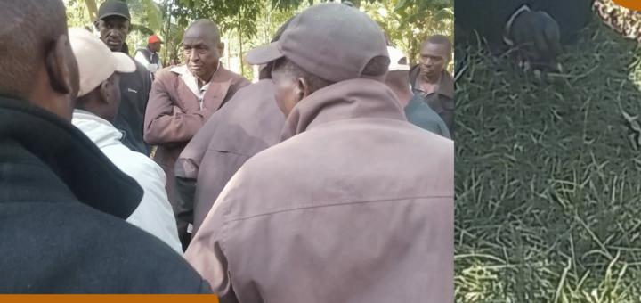 Francis Juma Catches Wife, 68, with 36-Year-Old Man in Trans Nzoia
